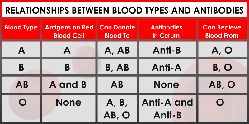 blood type chart